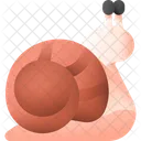 Snail Animal Shell Icon