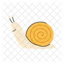 Snail  Icon