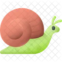 Snail Animal Shell Icon