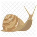 Snail Shell Food Icon