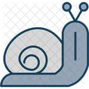 Snail Shell Slow Icon