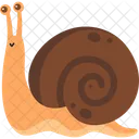 Snail Animal Cute Icon