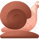 Snail Animal Shell Icon