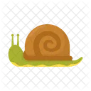 Snail Animal Insect Icon