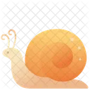 Creature Animal Snail Icon