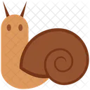 Snail  Icon