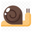 Snail Icon