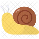 Snail Animal Mollusk Icon