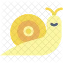 Snail Conch Shell Animal Icon
