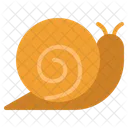 Animal Shell Slow Icon