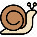Snail  Icon