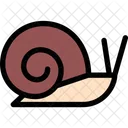 Snail Pet Animal Icon
