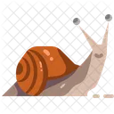 Snails  Icon