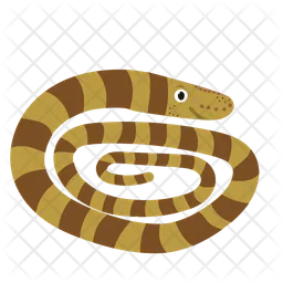 Snake  Icon