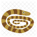 Snake Animal Zoo Icon