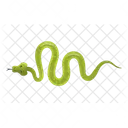 Snake Reptile Wildlife Icon