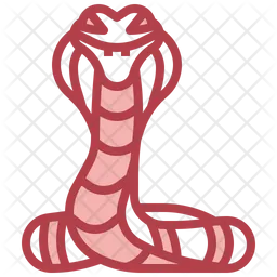 Snake  Icon