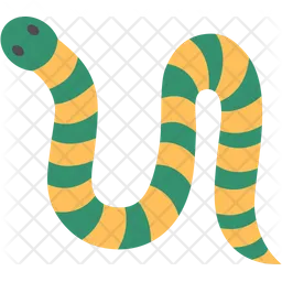 Snake  Icon