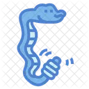 Snake  Icon