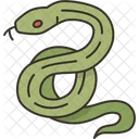 Snake Serpent Venom Icon