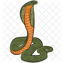 Snake Drawing  Icon