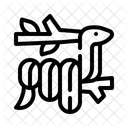 Snake Rainforest Reptile Icon