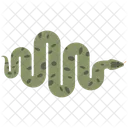 Snake Reptile Animal Icon