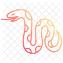 Snake  Icon