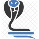 Snake  Icon