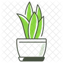 Snake Plant Houseplant Plant Icon