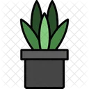 Snake Plant Pot Plant Icon