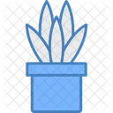 Snake Plant Pot Plant Icon