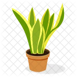 Snake Plant  Icon