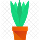 Snake Plant Green Plant Nature Icon