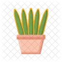 Snake Plant Indoor Plant Plant Icon