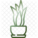 Snake plant  Icon