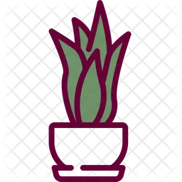 Snake plant  Icon