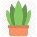 Snake Plant  Icon