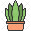 뱀 식물  아이콘