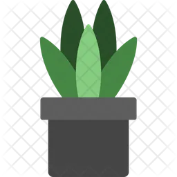 Snake Plant  Icon