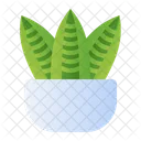 Snake Plant Icon