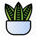 Snake Plant Nature Potted Plant Icon