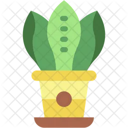 Snake plant  Icon