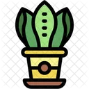 Snake Plant Indoor Plant Plant Pot Icon