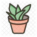Nature Potted Plant Plant Icon