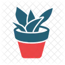 Snake Plant Nature Potted Plant Icon