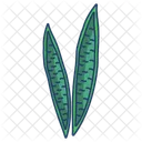 Snake Plant Leaf  Icon