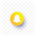 Snap Picture Tool Icon