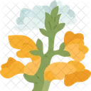 Snapdragons Flower Blooms Icon