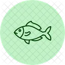 Snapper Ocean Marine Icon